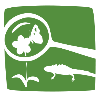Icon zum Themenfeld Abenteuer Umweltbildung